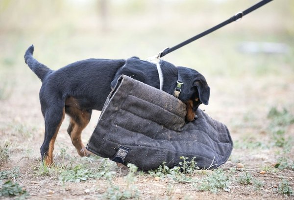 Which are the most reliable safety technologies in modern cars?